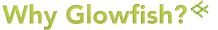 Why Glowfish?